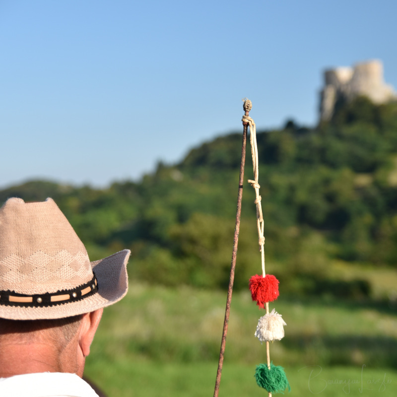 Fogatról nézelődve